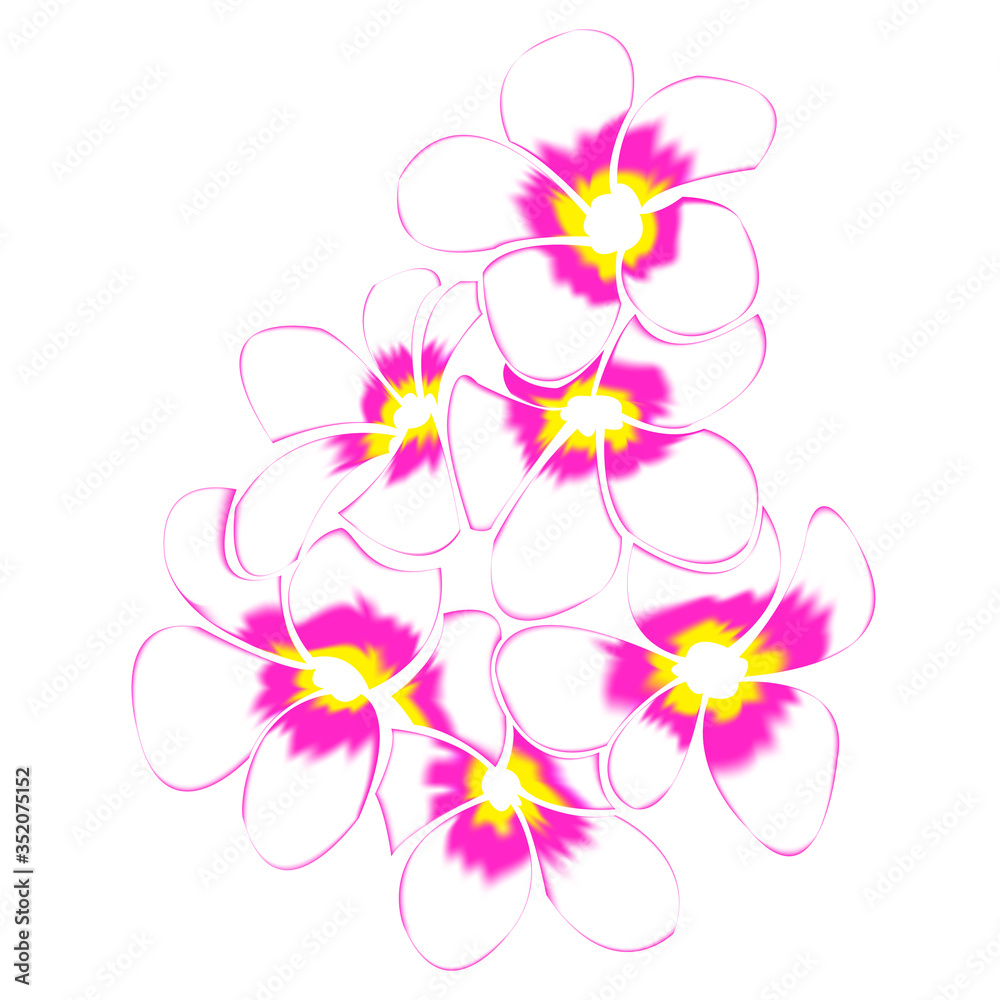 Naklejka premium Frangipani and leaves Isolated On White Background