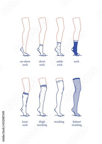 Vector image. A set of female socks and stockings of different lengths. Socks and stockings on the leg of a dummy.
