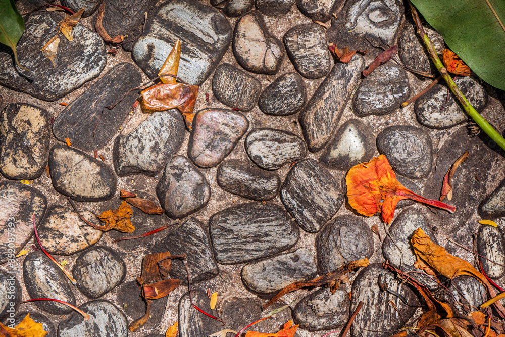 background stones flowers Thailand. orange and braun background stones flowers Thailand. orange and braun