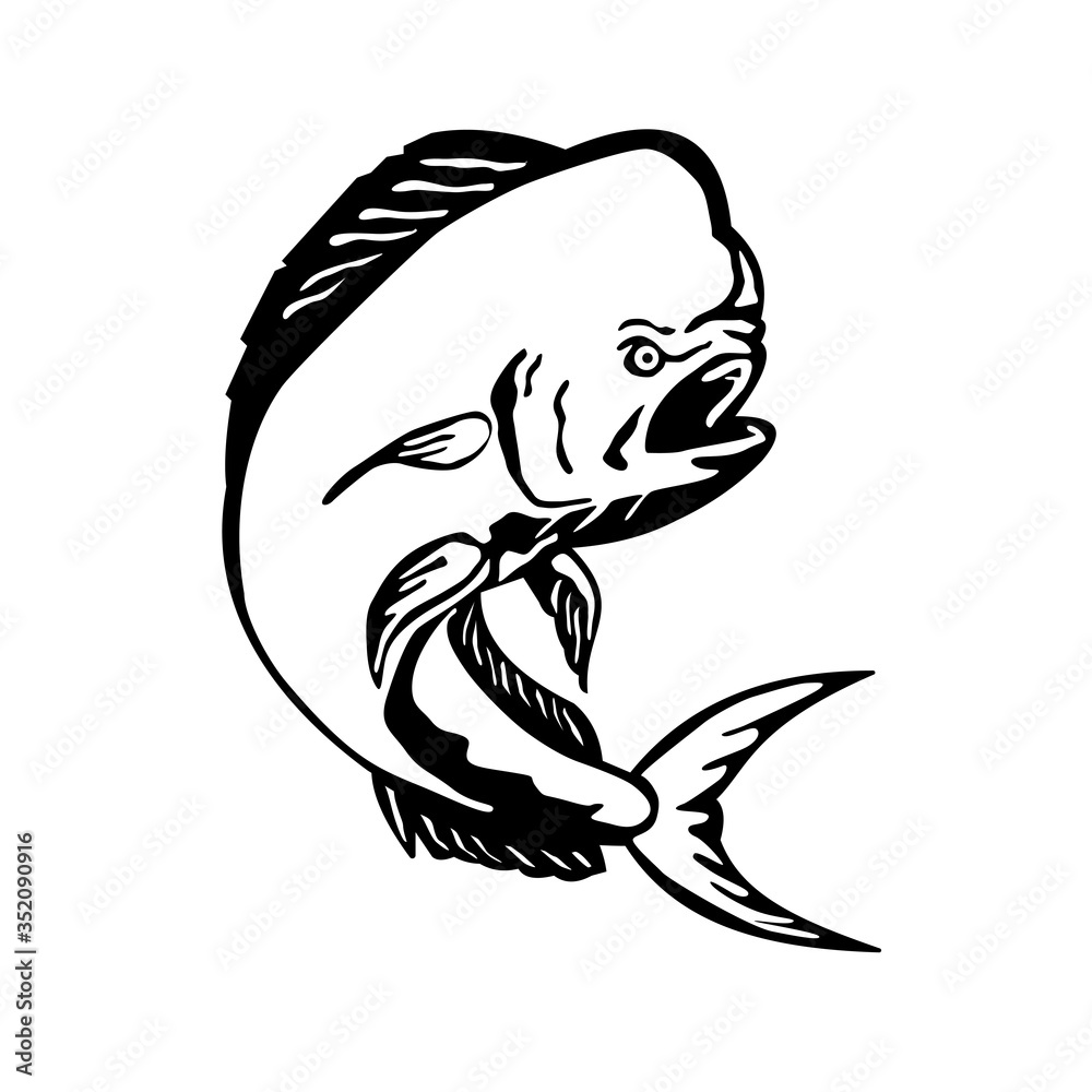 Angry Mahi-mahi Dorado Dolphinfish Jumping Etching Black and White Angry Mahi-mahi Dorado Dolphinfish Jumping Etching Black and White