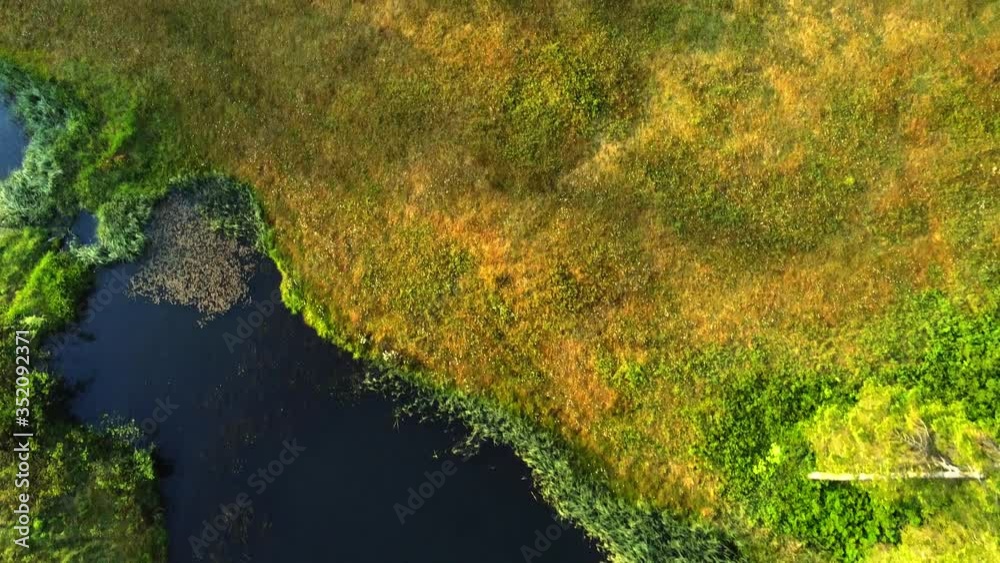 Aerial view shoreline of Lake and valley Aerial view shoreline of Lake and valley
