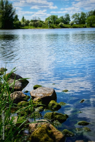 lake in the forest