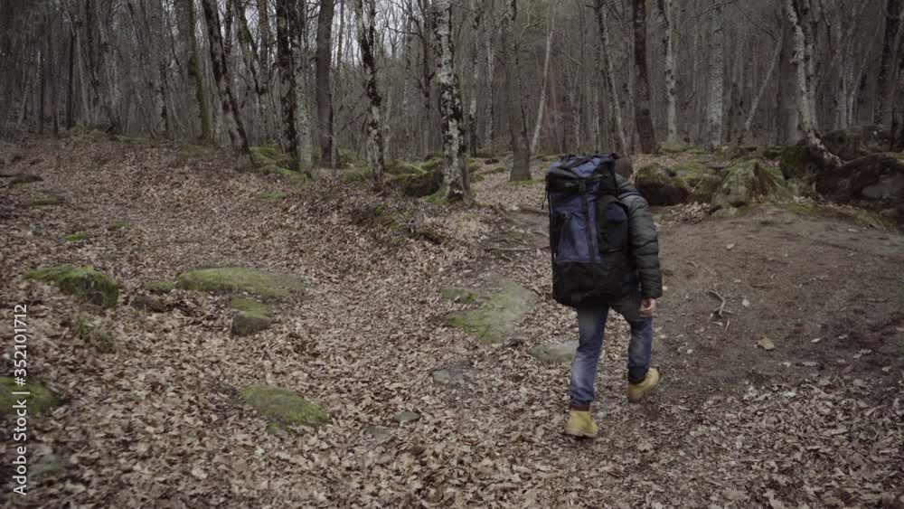 Outdoor activities travel hiking concept man in nature. Back view of walking person in deep mountain forest. Outdoor activities travel hiking concept man in nature. Back view of walking person in deep mountain forest.