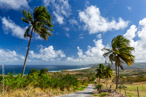 cherry tree hill in Barbados