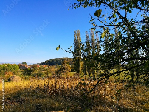 Rural landscape with fruit trees, haycock and some poplar trees in the distance, in a sunny early autumn day photo