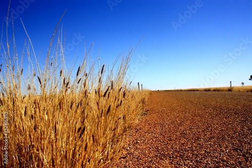 Outback Australia, the Simpson Dessert. photo