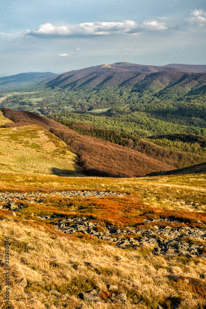 Amazing colours of the mountain meadows in the early spring. Bieszczady National Park. Carpathians. Poland.