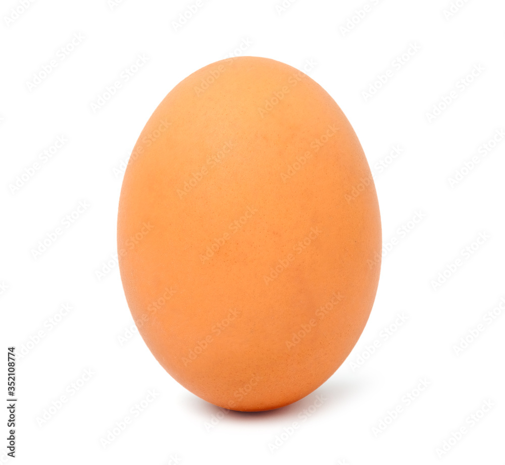 Single brown chicken egg isolated on white background with clipping path. Single brown chicken egg isolated on white background with clipping path.
