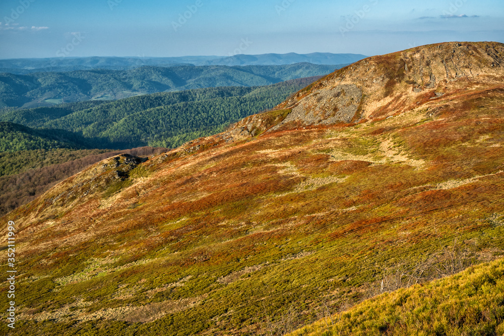 Amazing colours of the mountain meadows in the early spring. Bieszczady National Park. Carpathians. Poland.