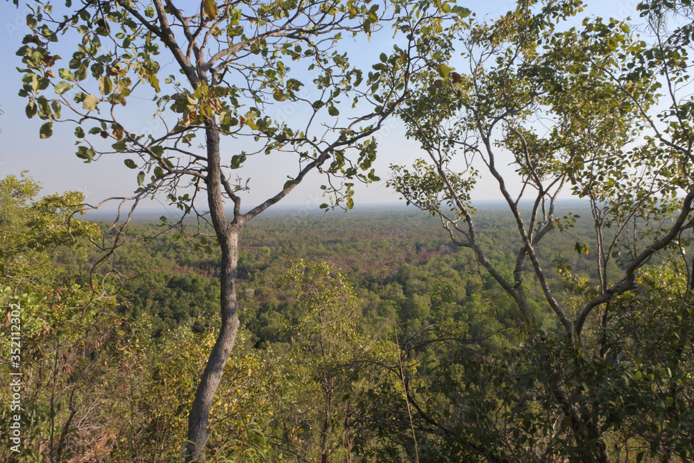 Litchfield National Park Landscape Northern Territory Australia Litchfield National Park Landscape Northern Territory Australia