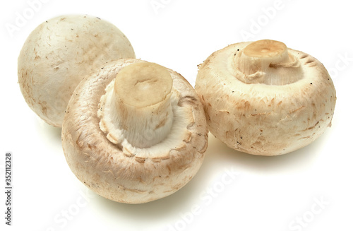 Three beautiful mushroom isolated on white background.