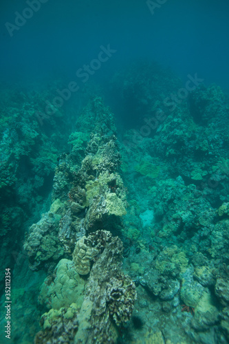 Underwater Rocky Coral Reef Portrait