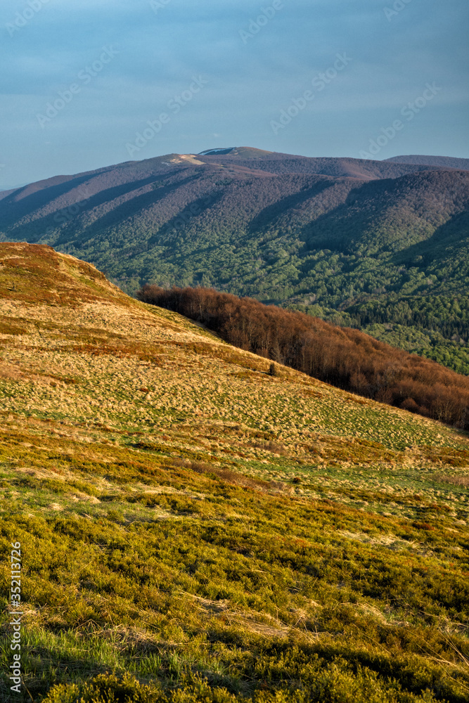 Naklejka premium Amazing colours of the mountain meadows in the early spring. Bieszczady National Park. Carpathians. Poland.