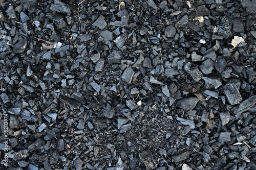 Wallpaper Mural Black charcoal texture, coal pattern background. Torontodigital.ca
