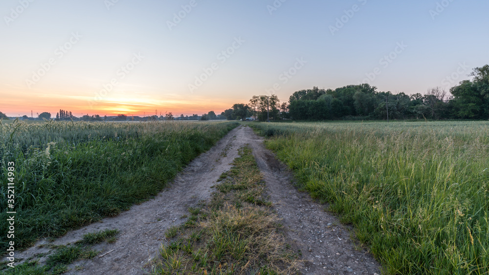 sunrise in the field in Reichstett sunrise in the field in Reichstett