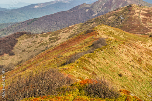 Fototapeta Naklejka Na Ścianę i Meble -  Amazing colours of the mountain meadows in the early spring. Bieszczady National Park. Carpathians. Poland.