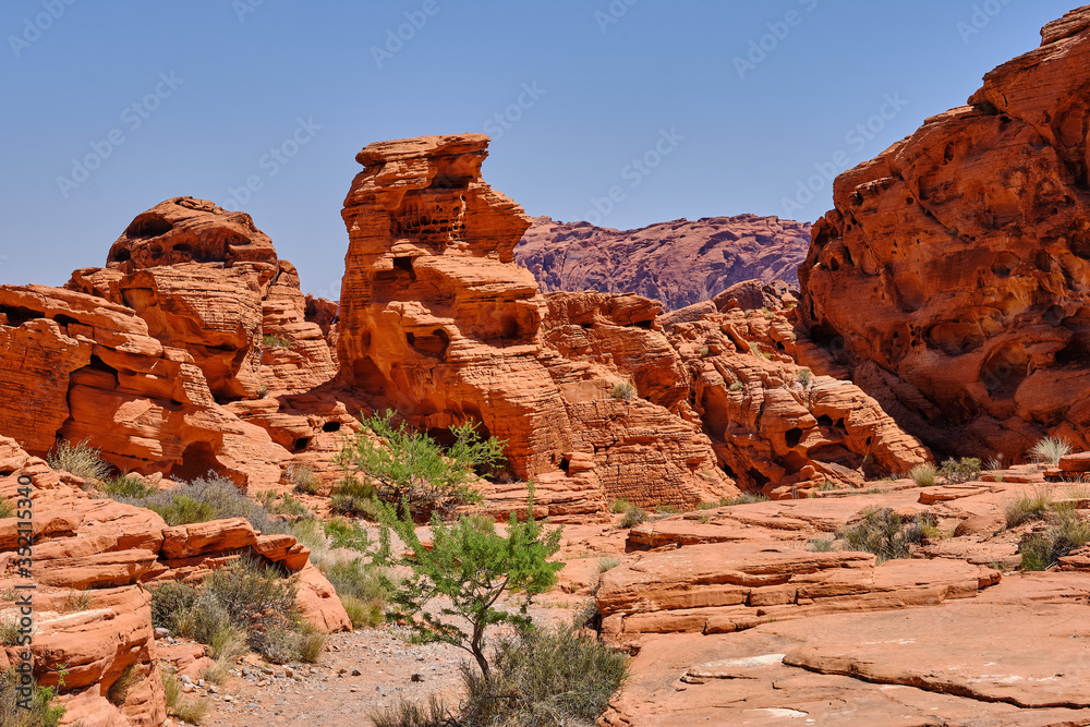 Fototapeta premium Sandstone outcrops in the high Nevada desert