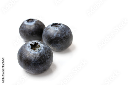 three fresh ripe Blueberries isolated on white background. Blueberry antioxidant organic superfood