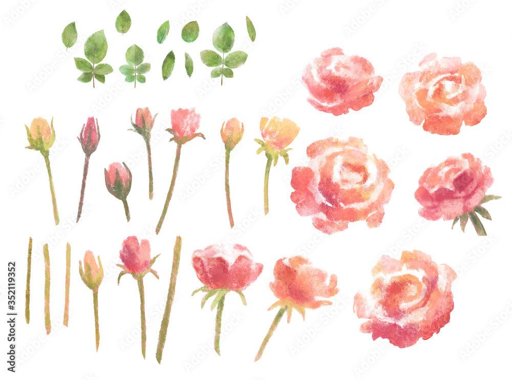 Rose flower clip art elements, stock illustration. Pink watercolor floral separate part for designing greeting card or wedding invitation.