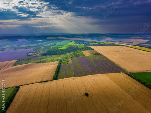 Aerial view of a landscape with lavender and wheat field
