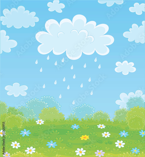 Funny plump rain cloud with dripping raindrops over a green field with beautiful flowers on a pretty summer rainy day, vector cartoon illustration