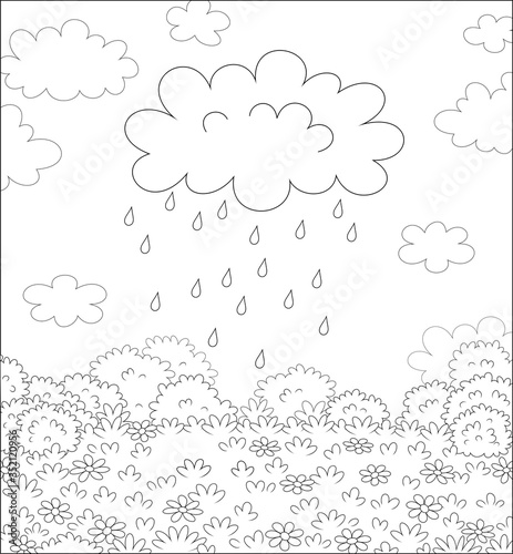 Funny plump rain cloud with dripping raindrops over a field with beautiful flowers on a pretty summer rainy day, black and white vector cartoon illustration for a coloring book page
