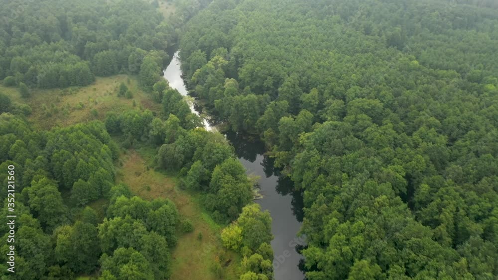 flying on a quadcopter over the river flowing through the forest, the morning fog flying on a quadcopter over the river flowing through the forest, the morning fog