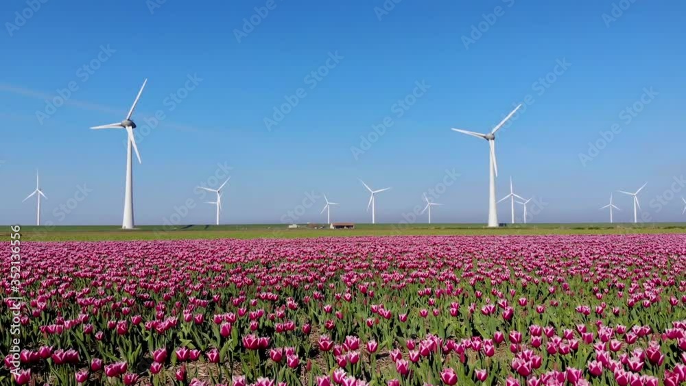 Windmill farm in the Netherlands, windmill turbine flowers and farmers working on the land, green energy in the Netherlands