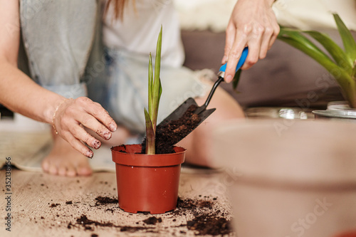 Young woman transplanting plant in plastic pots on the floor. Concept of home garden. Spring time. Stylish interior with a lot of plants. Taking care of home plants.