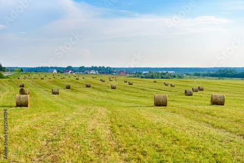 a wide field with haystacks rolled up in a roll, behind the field a village with a Church, behind the village a forest.