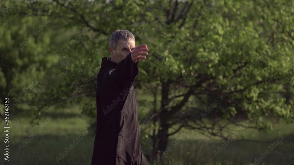 A martial artist practices tai Chi Taijiquan qigong in nature in a Park A martial artist practices tai Chi Taijiquan qigong in nature in a Park