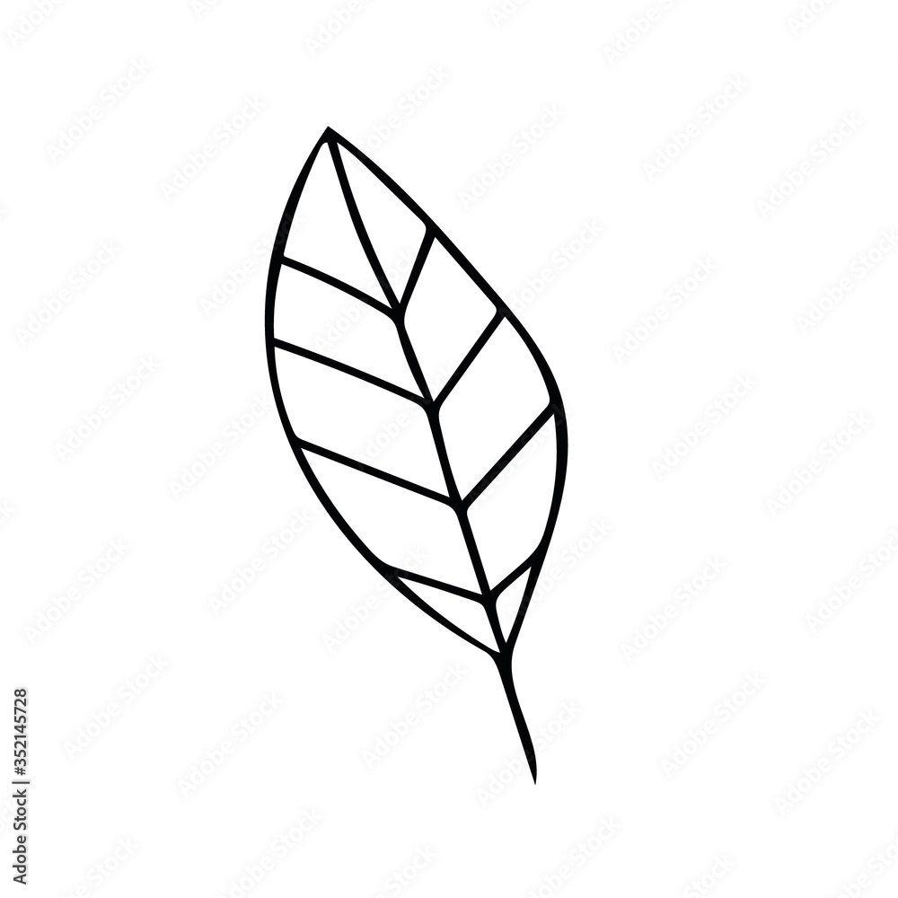 leaf hand drawn in doodle style. vector scandinavian monochrome minimalism. single element for design. plant, tree, icon leaf hand drawn in doodle style. vector scandinavian monochrome minimalism. single element for design. plant, tree, icon