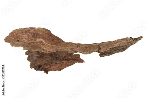 Driftwood or aged wood isolated on white background with clipping path. Closeup piece of driftwood shaped like Marlin fish for aquarium.