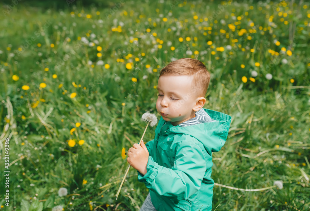 Closeup portrait of a pretty little boy blowing on a white dandelion Closeup portrait of a pretty little boy blowing on a white dandelion