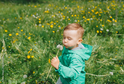 Closeup portrait of a pretty little boy blowing on a white dandelion © Irina84