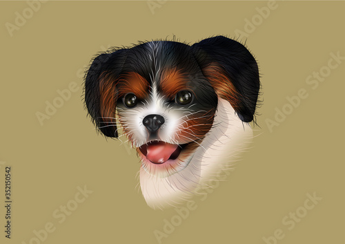 puppy