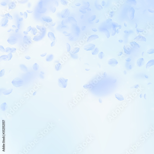 Light blue flower petals falling down. Dramatic ro
