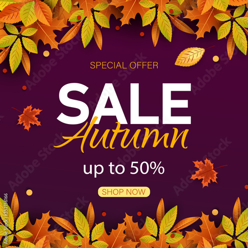 Big autumn sale. Autumn sale vector background