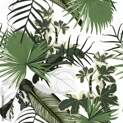 Wallpaper Mural Tropical seamless pattern with exotic palm leaves. White background. Torontodigital.ca