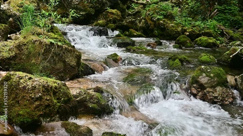 Wonderful fresh water rapids waterfalls river flowing through forest in early sprting photo