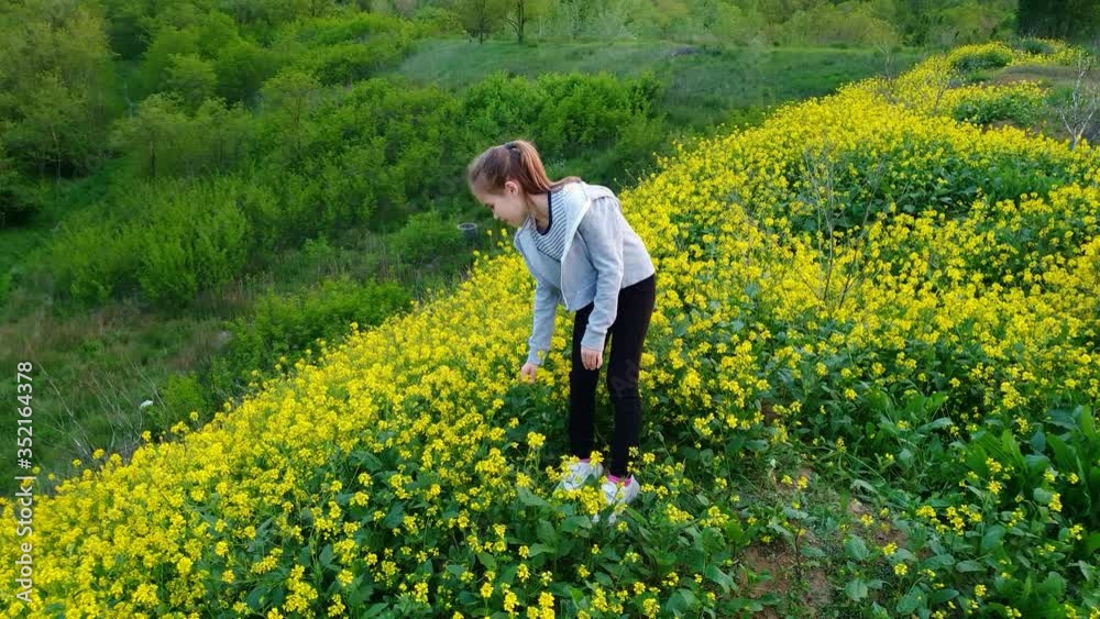 teenage girl stands on meadow with yellow flowers, pick and stretches forward. teenage girl stands on meadow with yellow flowers, pick and stretches forward.