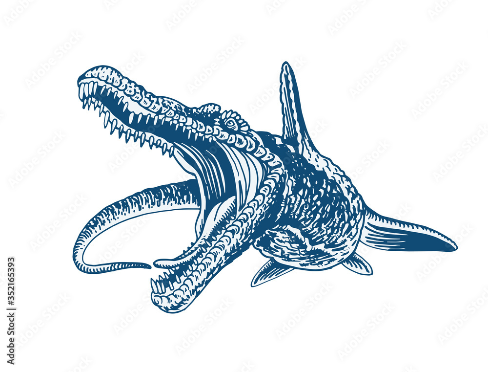 Graphical color Tylosaurus isolated on white ,vector illustration