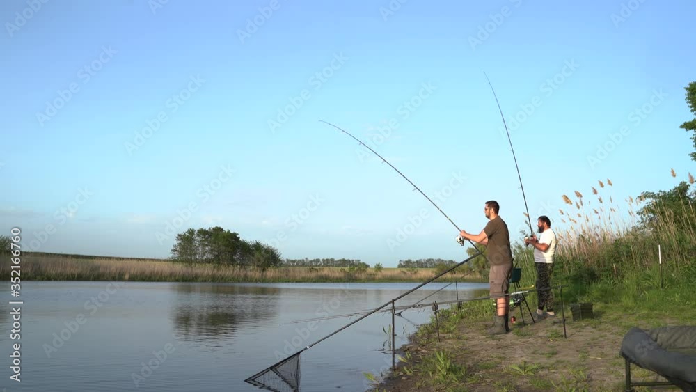 4K. Two fishermen on the shore are fishing with two spinning rods and are happy that they are biting. This equipment is suitable for such fish as: carp, white Cupid, bream. 4K. Two fishermen on the shore are fishing with two spinning rods and are happy that they are biting. This equipment is suitable for such fish as: carp, white Cupid, bream.