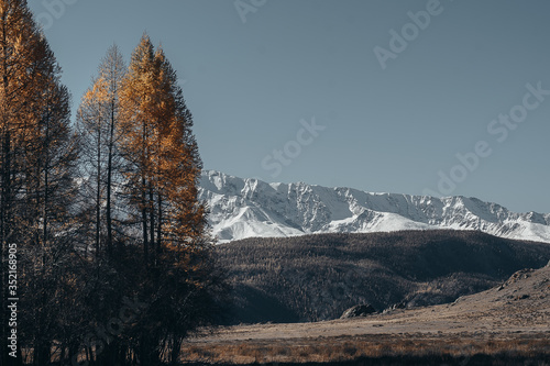 Snowy ridge mountains. Altai mountains. Autumn