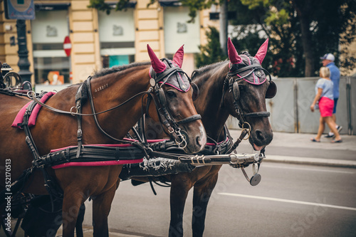 Famous street horse carriage in Vienna Wien, Austria. © alzamu79
