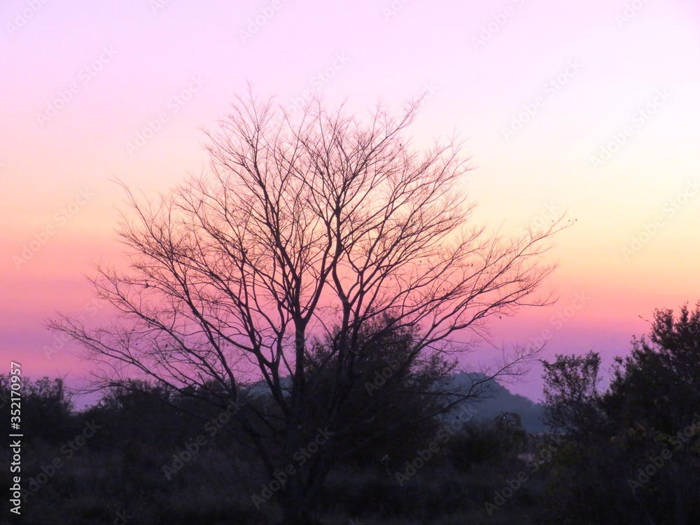 日本の田舎の風景　12月　川辺の夕景グラデーション