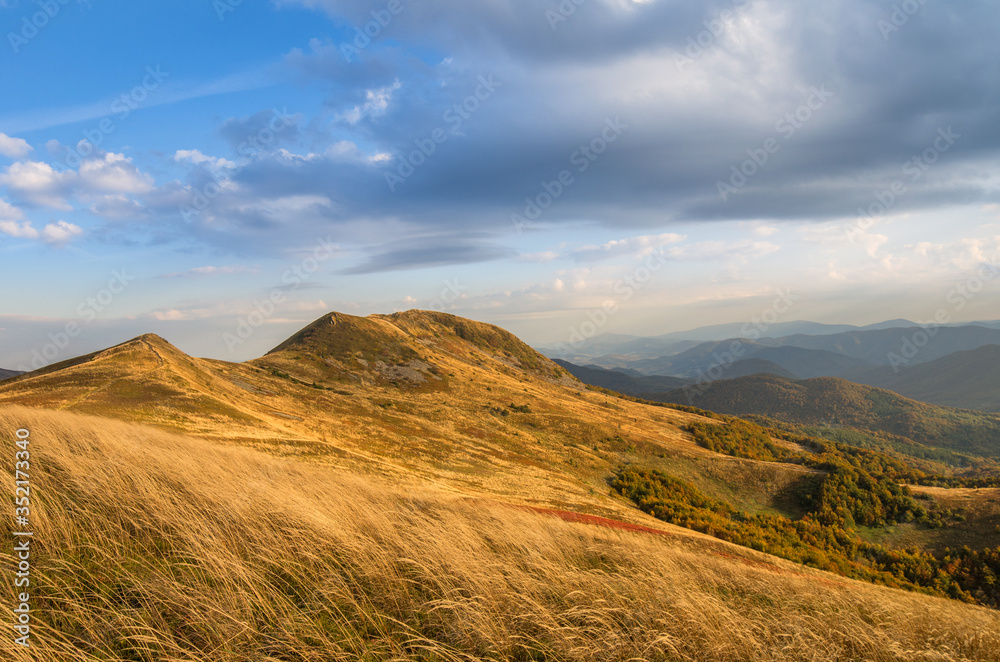 Sunny autumn day in the mountains. Slopes covered with yellow dry grass. Tarnica, Bieszczady National Park.