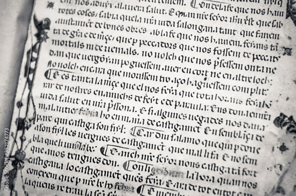 Fototapeta premium medieval book