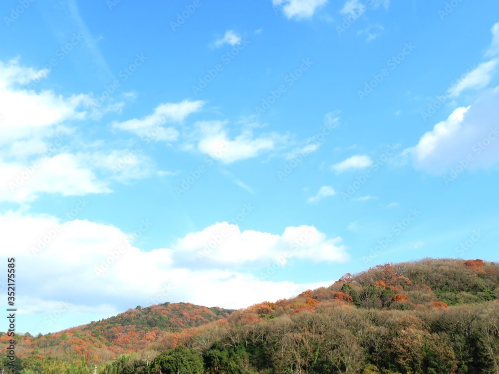 日本の田舎の風景　12月　初冬の山の木々　裸木と青空