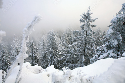 Beautiful winter in a wild area in the Table Mountains in Poland. Snow covered trees at the peak of Skalniak and eroded sandstone rock formations.